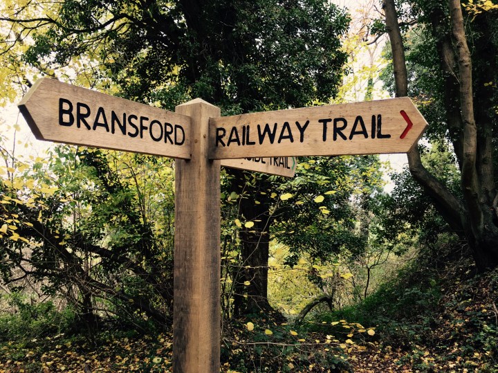 Guide post in woodland