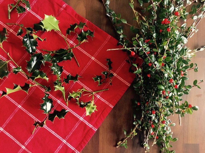 Sprigs of holly leaves and stems of cotoneaster horizontalis 