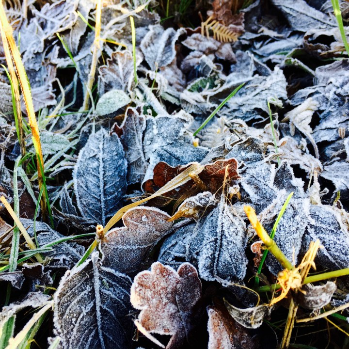 On a cool, bright&nbsp;day