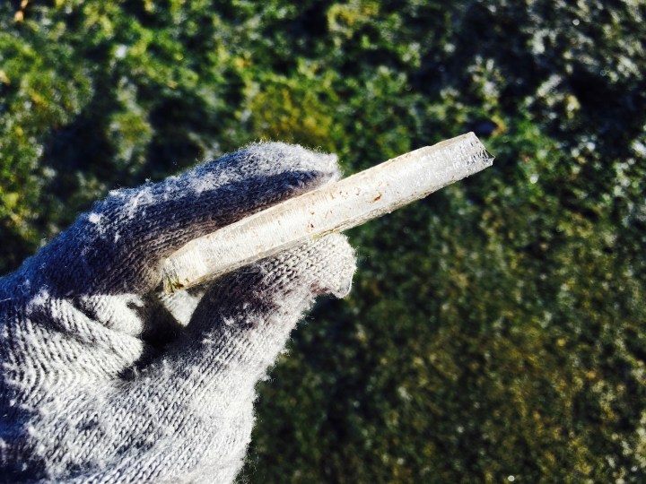 Gloved hand holding a large shard of ice found on top of the Malvern Hills in winter.