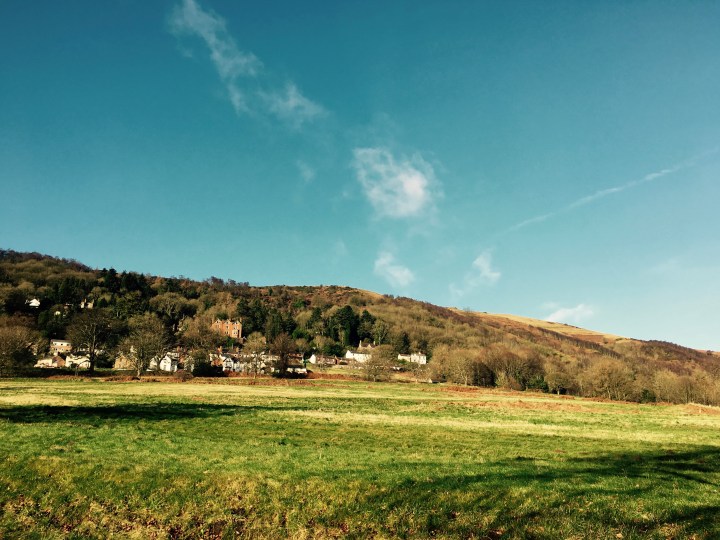 All the pretty&nbsp;houses