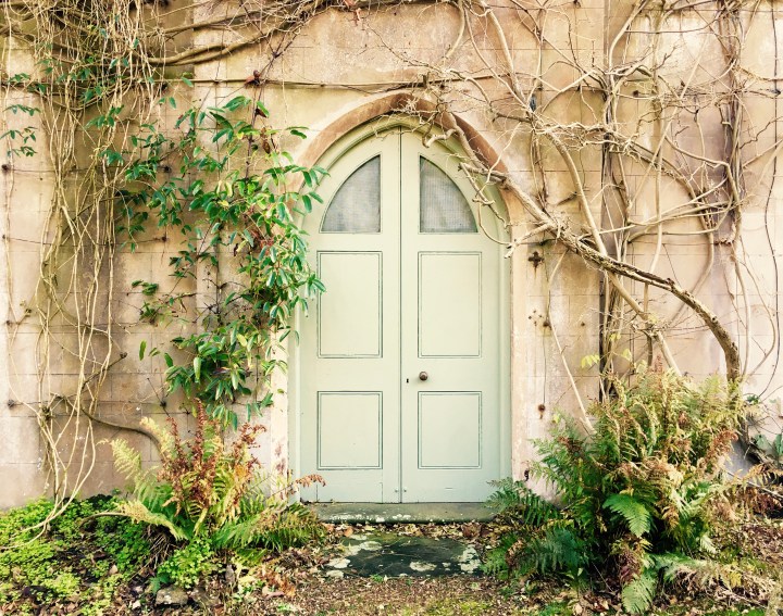 Ivy and ferns cover the front entrance of a house with a sage green arched door.