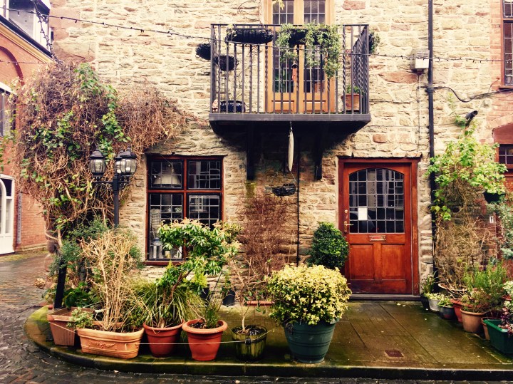 Stone cottage adorned with ivy, with collection of pot plants at its front in Ludlow, Shropshire