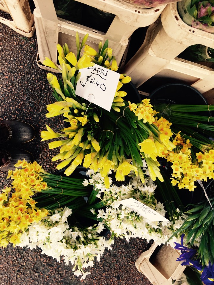 Daffodils and jonquils sitting in buckets of water at a flower stand at a farmer's market in Ludlow, Shropshire