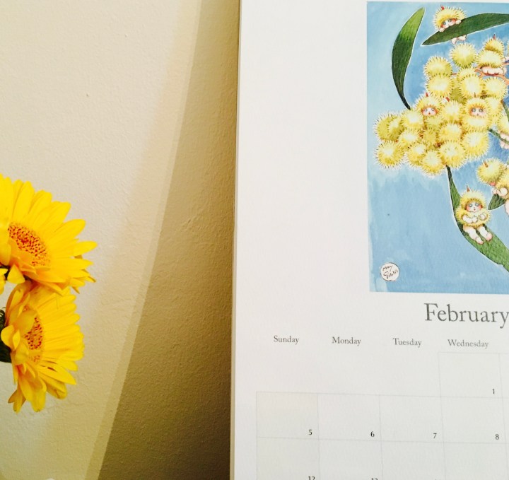 A May Gibbs calendar and yellow gerbera flowers.