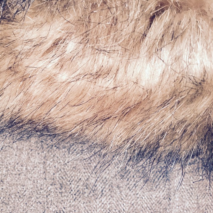 The suitcase guide:&nbsp;Latvia