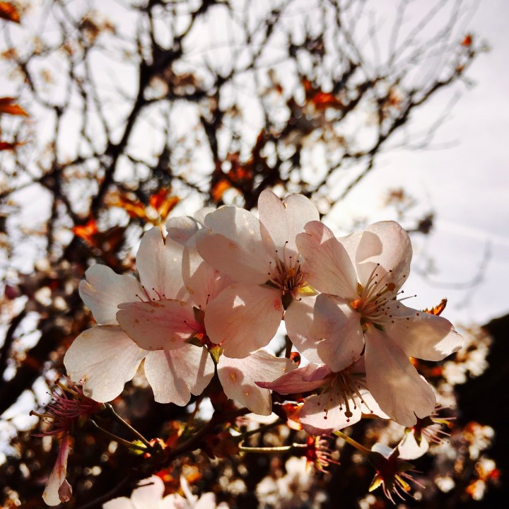 Here comes the&nbsp;sun