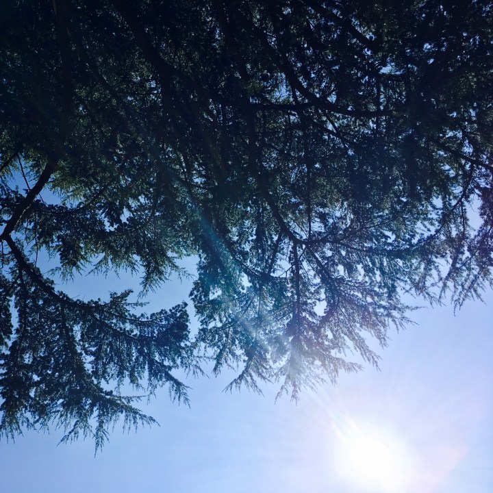 Make hay while the sun&nbsp;shines