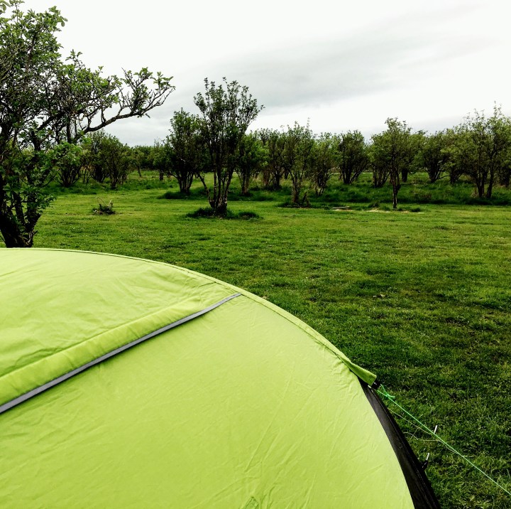 Tent set up in the Elderflower Orchard at Thistledown Farm, Nympsfield Gloucestershire.