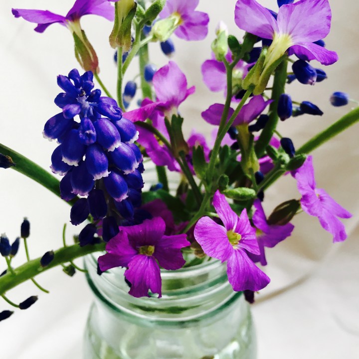 Posey of flowers from English cottage garden.