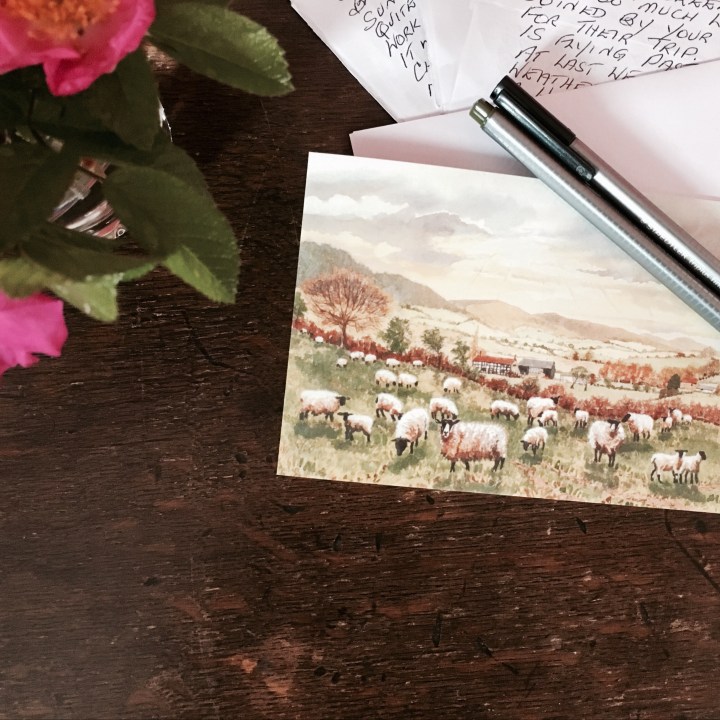 Roses, card and handwritten letter on timber table.