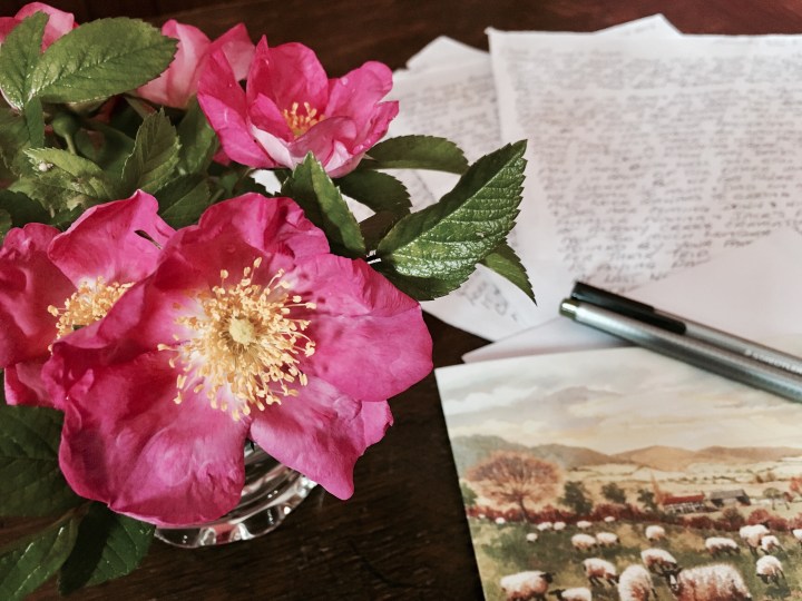 Roses, card and handwritten letter on timber table.