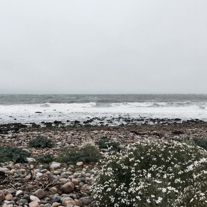 Slow days on&nbsp;Solway