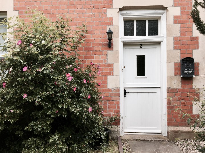 Pink rosebush growing besides front door to Georgian style house in England.