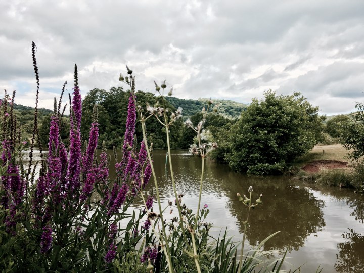 The pond at Golden Valley, Castlemorton Common, Worcestershire