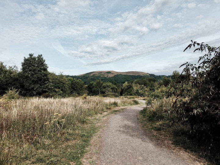 St Wulstan's Nature Reserve, Malvern Wells, Worcestershire, England.