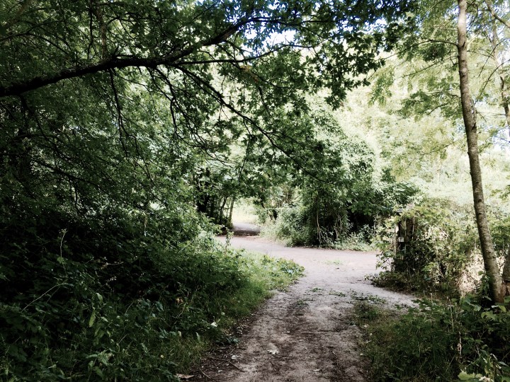 St Wulstan's Nature Reserve, Malvern Wells, Worcestershire, England.
