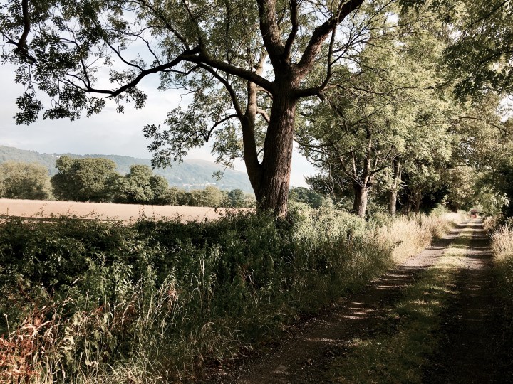 Road to Coton Cottage Farm, Malvern Wells, Worcestershire England.