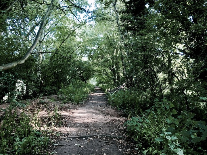 Public footpath on old Malvern to Ashchurch rail line.