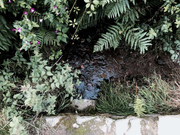 Stream on Malvern Common, Worcestershire England.