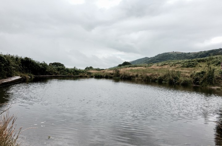 Pond on Malvern Common, Worcestershire, England.
