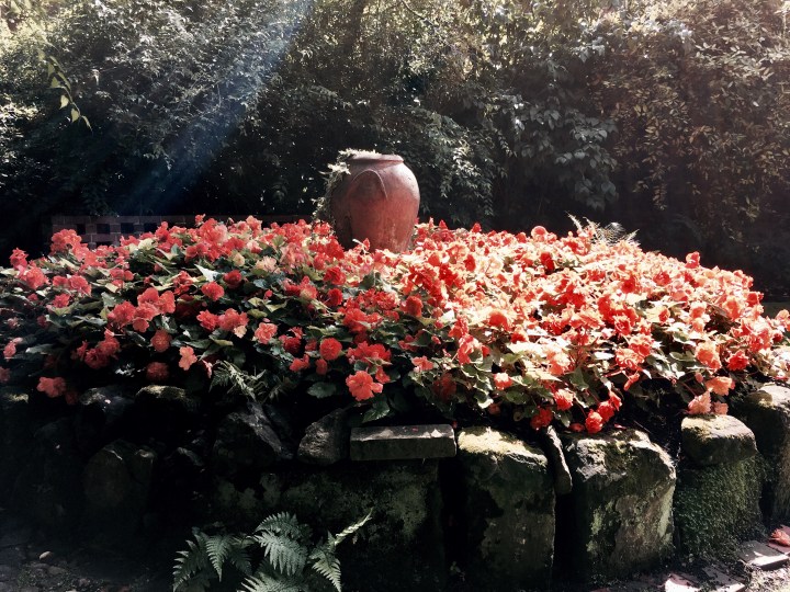 The garden at National Trust property, Greyfriars' in Worcester, Worcestershire.