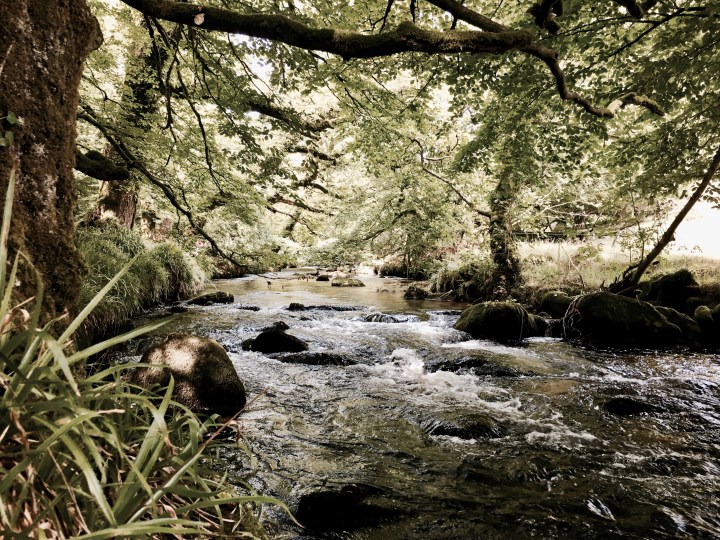 The River Fowey in Cornwall, England.