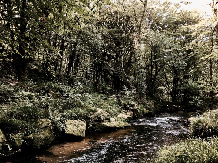 The River Fowey in Cornwall, England.
