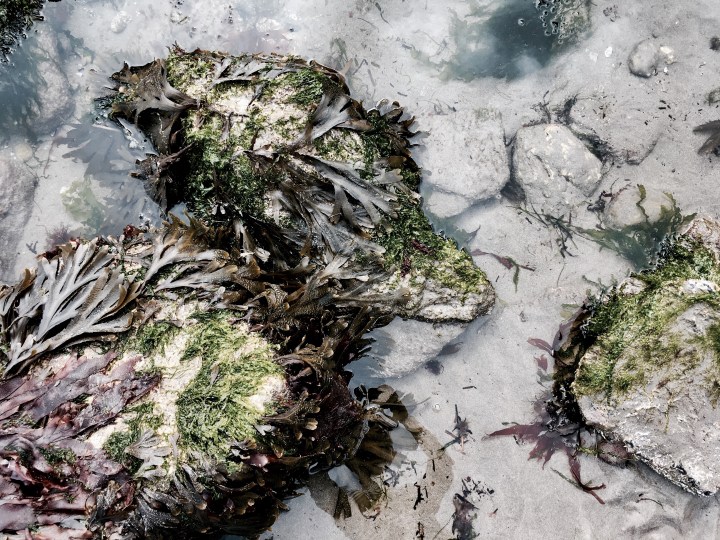 Rock pools on the beach at Charlestown, Cornwall, England.