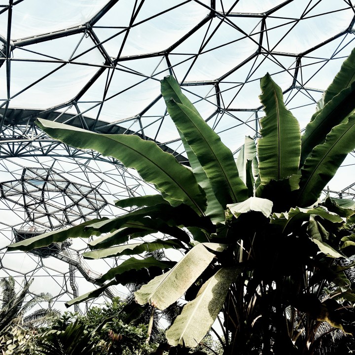 The Rainforest Biome at the Eden Project in Cornwall, England.