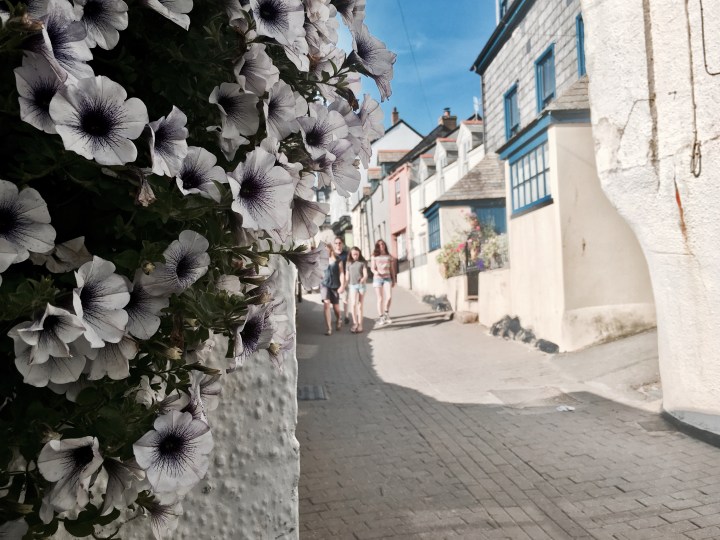 Hanging basket of flowers in Port Isaac, Cornwall, England.