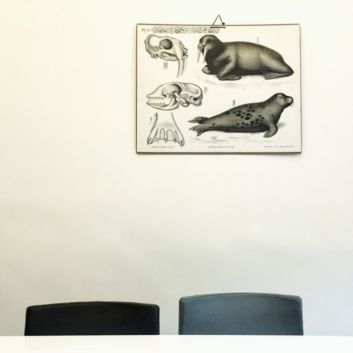 An Airbnb apartment in the Glasgow suburb of Dennistoun.