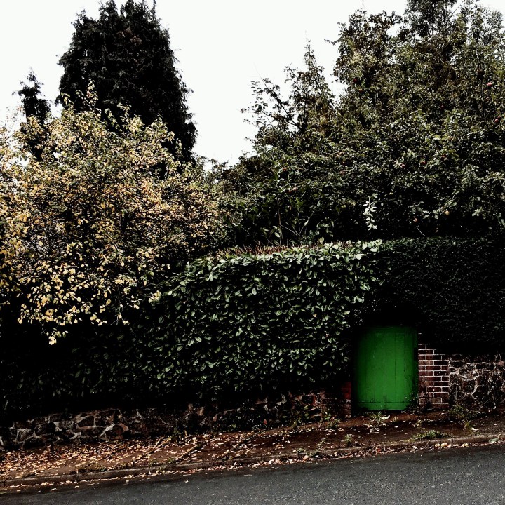 Autumnal looking garden in Malvern, Worcestershire, England.