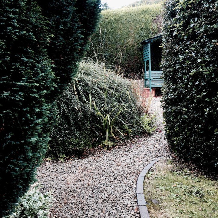 An English cottage garden.