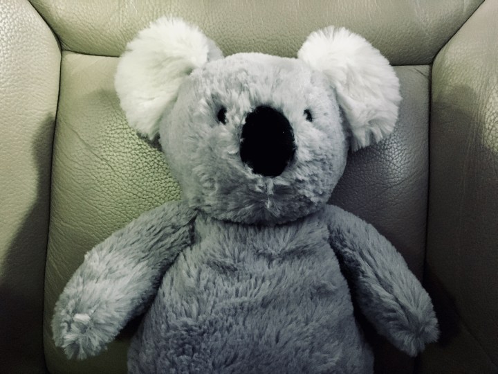 Stuffed koala toy.