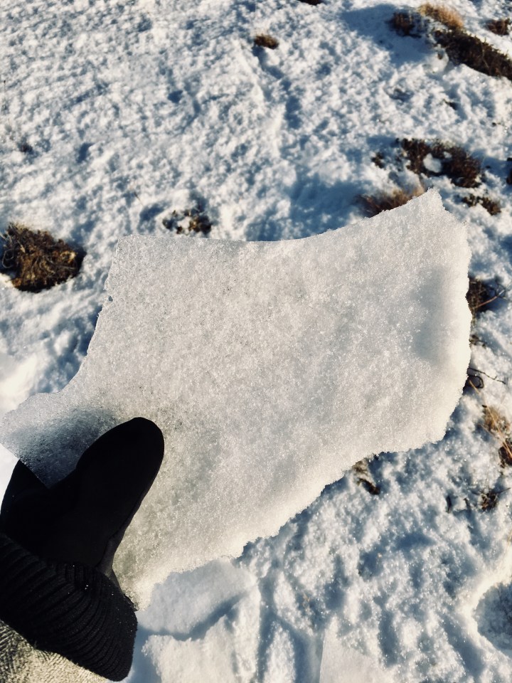 Hand holding a chunk of frozen snow in Iceleand.