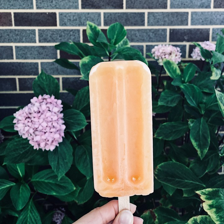 Hand holding orange ice block in front of hydrangea bushes.