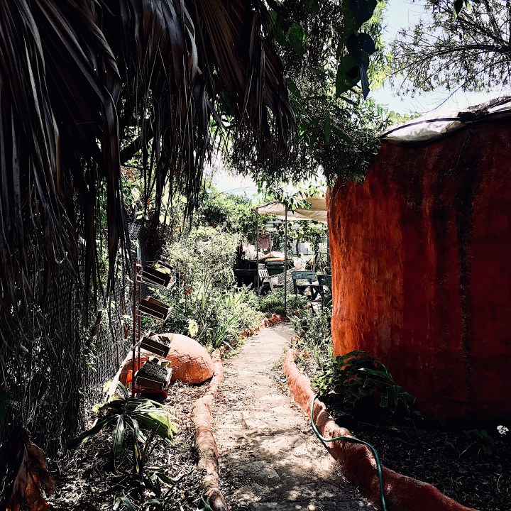 Community garden in Wagga Wagga, NSW, Australia.