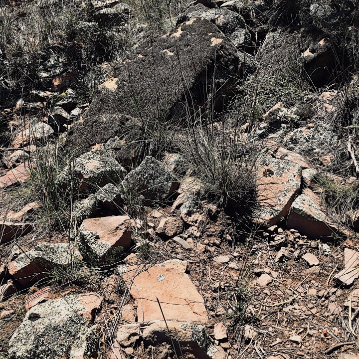 Rocks, grass and soil on Galore Hill, Lockhart Shire, NSW, Australia.