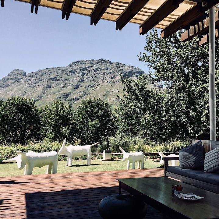 View from Tokara Delicatessen, Stellenbosch, Western Cape, South Africa.