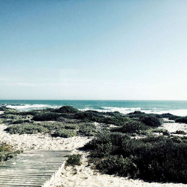 The beach at Yzerfontein, Western Cape, South Africa.