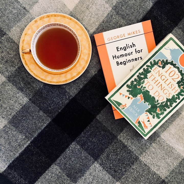 Tea cup and books sitting on black, white and grey check blanket.