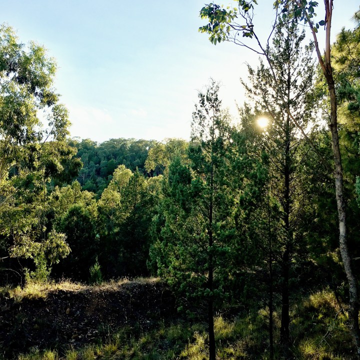 Willans Hill Reserve, Wagga Wagga, NSW, Australia.