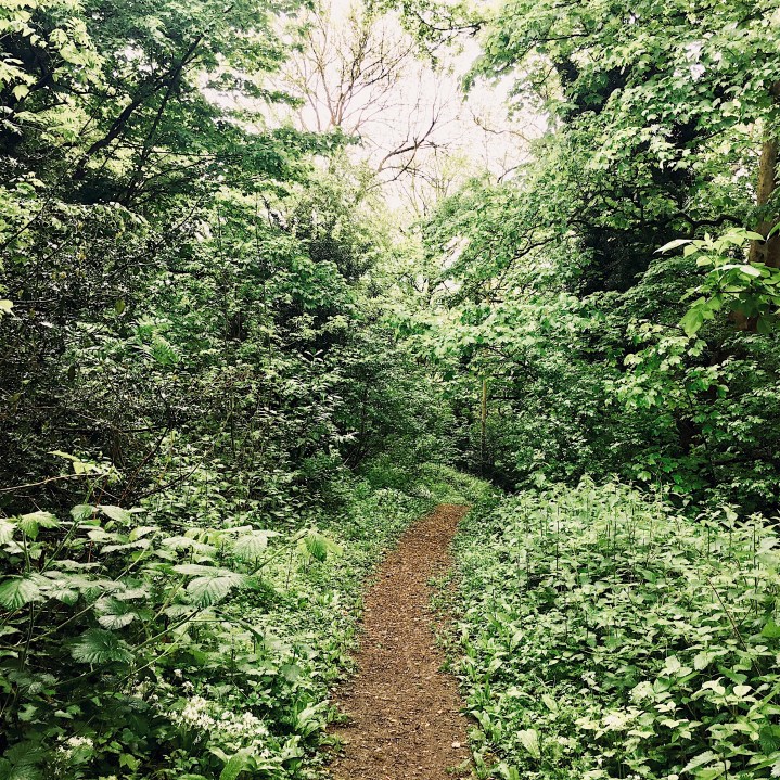 What I miss about life in&nbsp;England