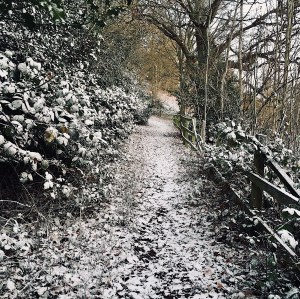 A snowy footpath on the Malvern Hills, in Worcestershire, England.
