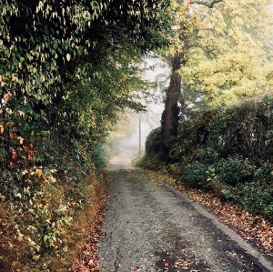 A lane in Herefordshire, England surrounded by Autumnal foliage