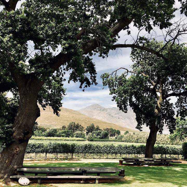 View from the rear of Chef's Warehouse at Maison Estate, Franschhoek, Western Cape, South Africa.