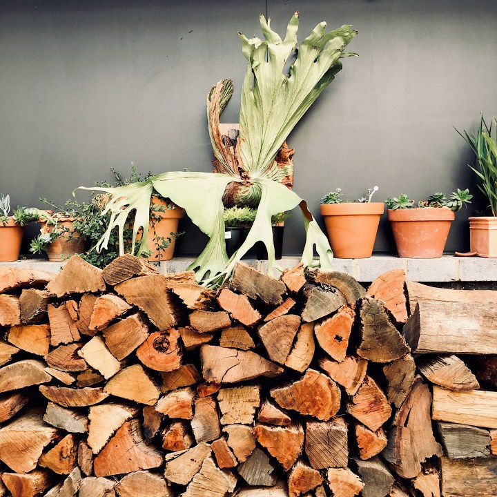 The courtyard at the Capital Brewing Co. in Canberra, Australia.
