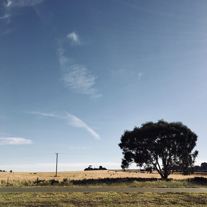 Farm land around Wagga Wagga, NSW, Australia.