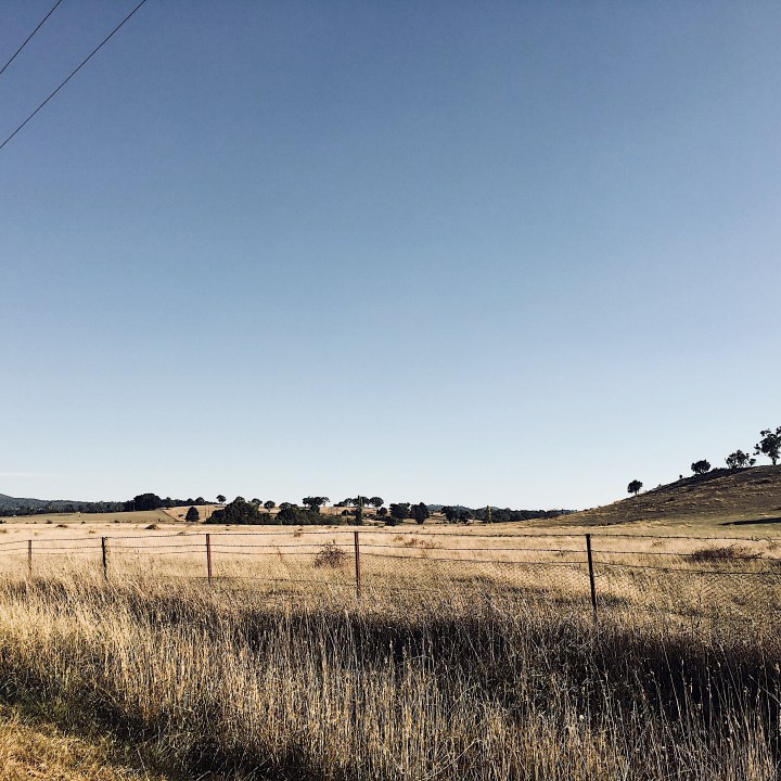 Countryside around Sutton, New South Wales, Australia.